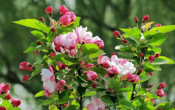 永磁變頻羞羞TV在线APP下载